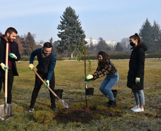 Ziua națională de înverzire a plaiului